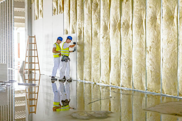 Best Insulation for Specific Applications in Crainvle, IL